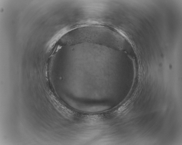 X0000056031455200509021809