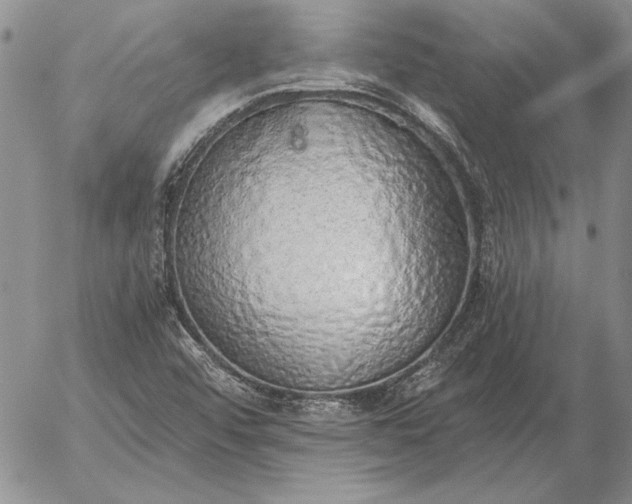 X0000056031456200509021809