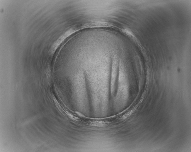 X0000056031457200509021809