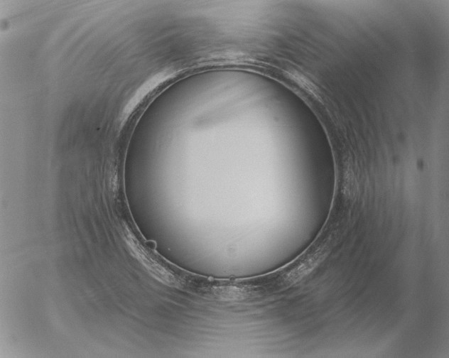 X0000056031458200509021809