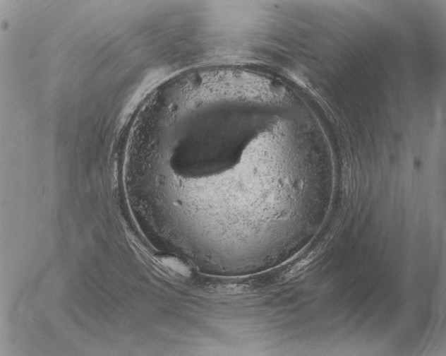 X0000056031459200509021809