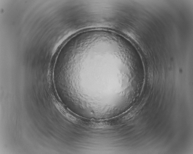 X0000056031460200509021809