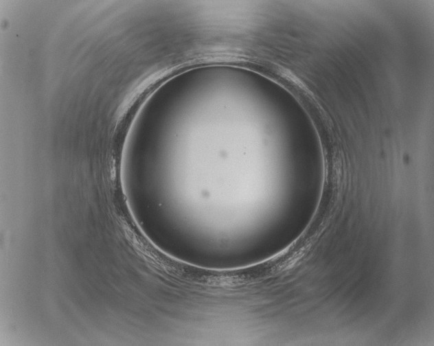 X0000056031461200509021809