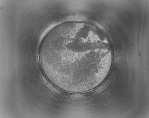 X0000056031462200509021809