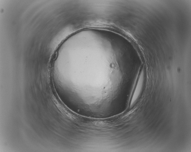 X0000056031463200509021809