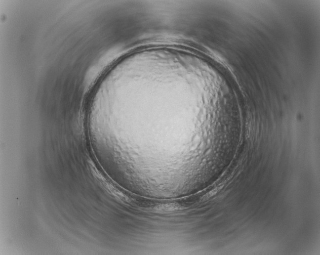 X0000056031464200509021809