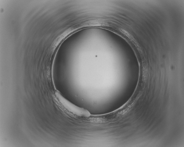 X0000056031465200509021809