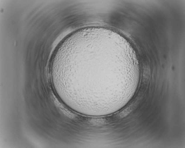 X0000056031466200509021809