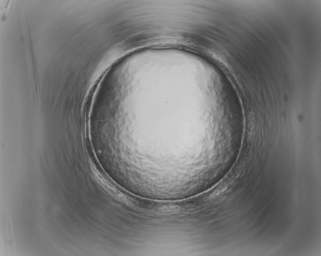 X0000056031467200509021809