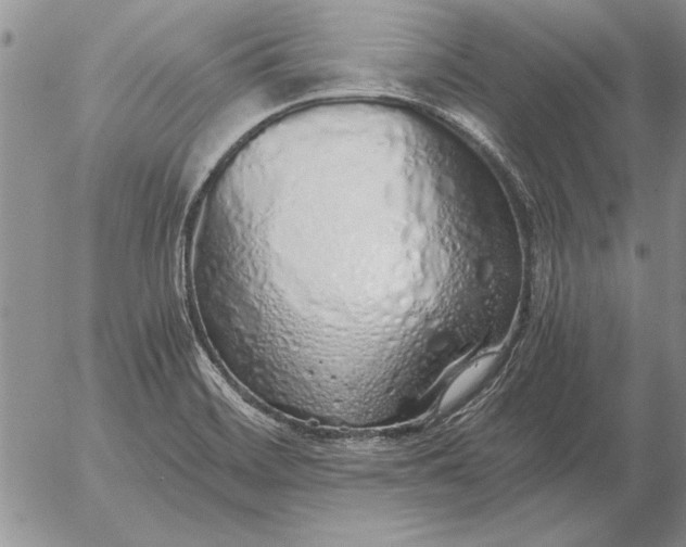 X0000056031468200509021809