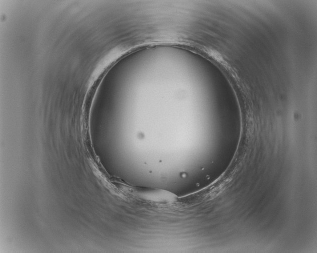 X0000056031469200509021809