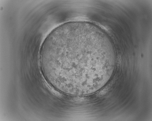 X0000056031470200509021809