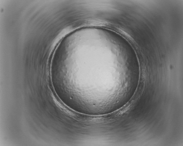 X0000056031471200509021809