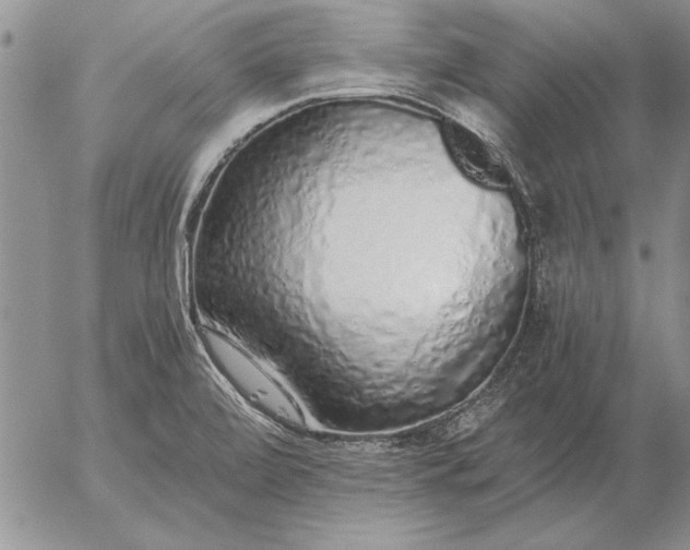 X0000056031472200509021809