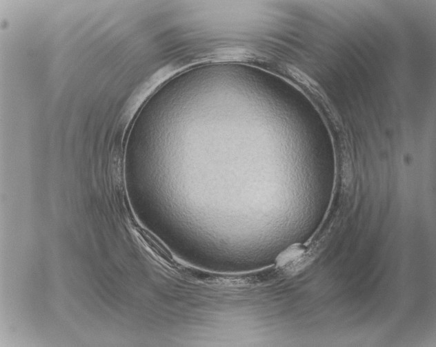 X0000056031473200509021809