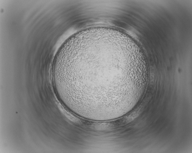 X0000056031474200509021809