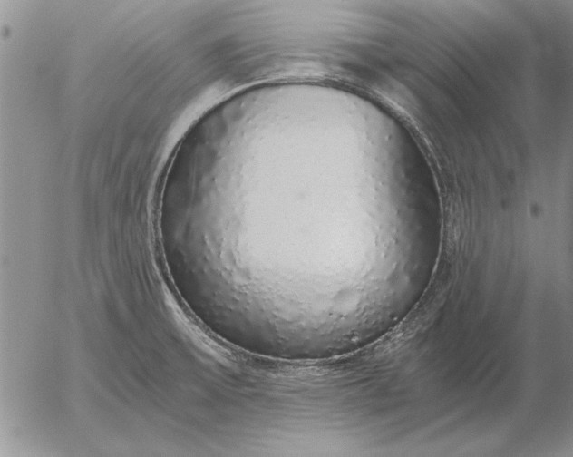 X0000056031475200509021809