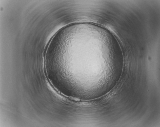 X0000056031476200509021809