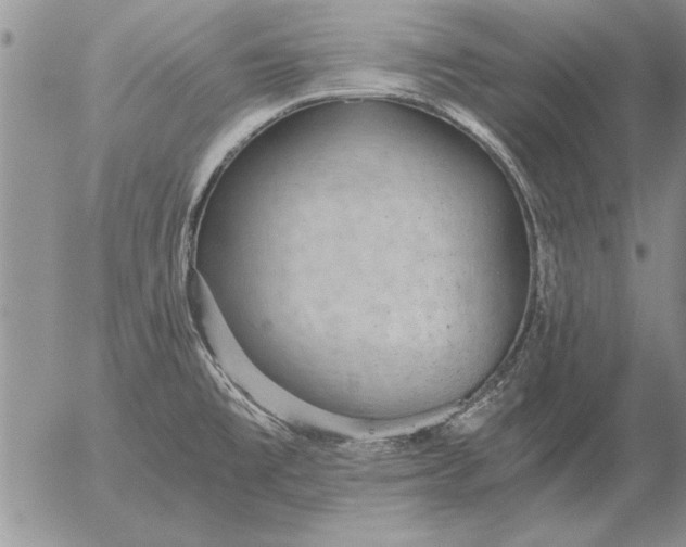 X0000056031477200509021809