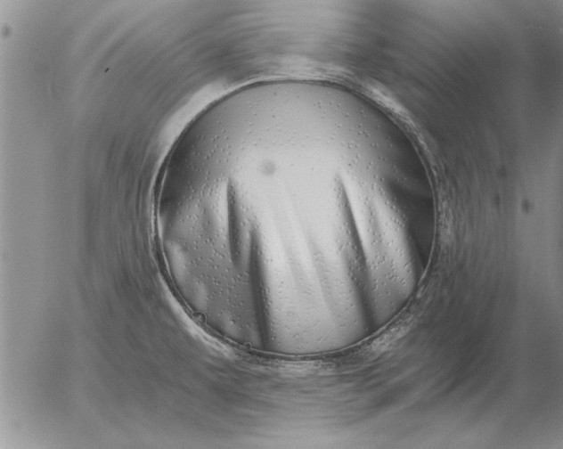 X0000056031479200509021809