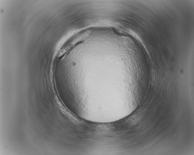 X0000056031480200509021809