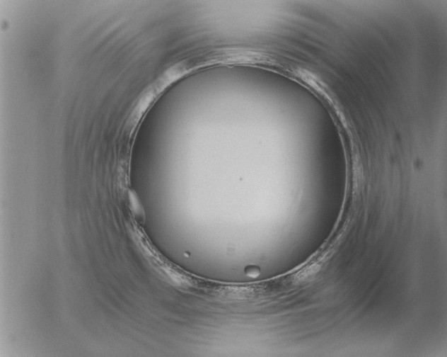 X0000056031481200509021809