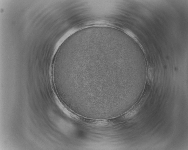 X0000056031482200509021809