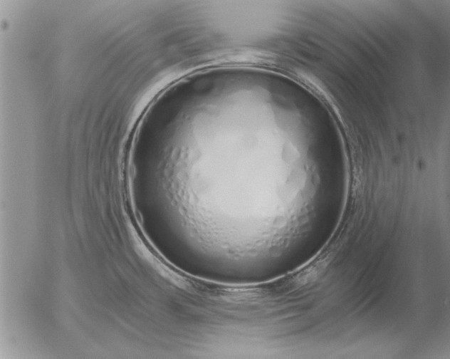 X0000056031483200509021809