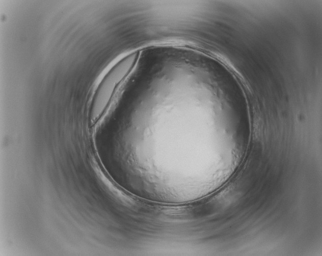 X0000056031484200509021809