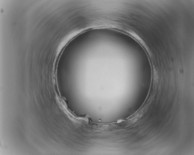 X0000056031485200509021809