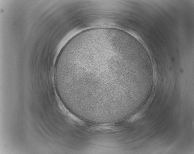 X0000056031486200509021809