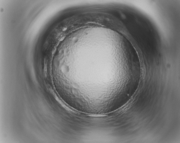 X0000056031487200509021809