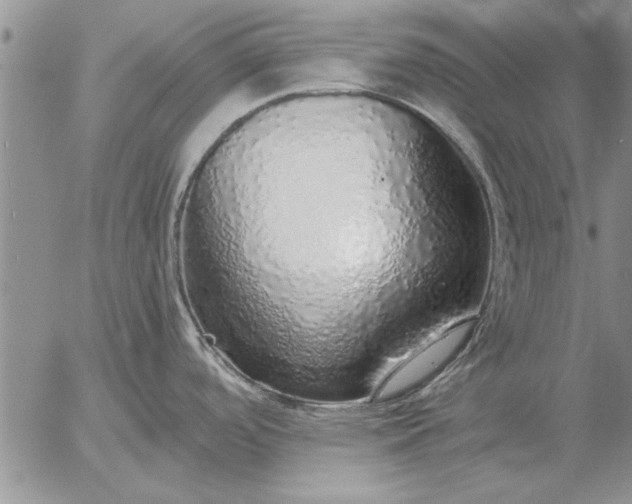 X0000056031488200509021809