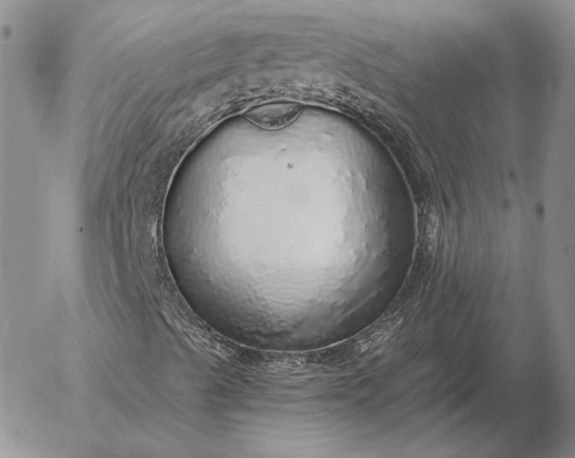 X0000056031489200509021808