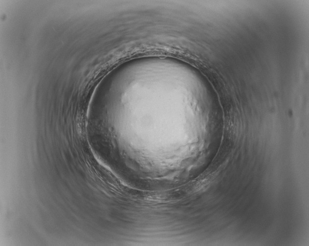 X0000056031490200509021808