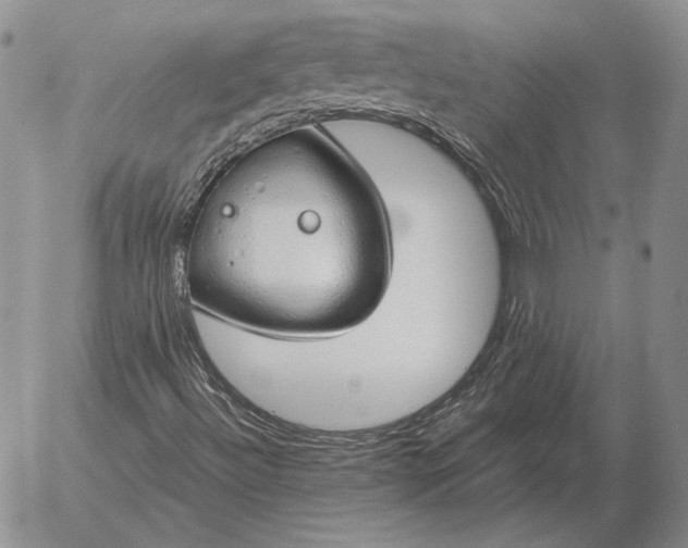 X0000056031492200509021808