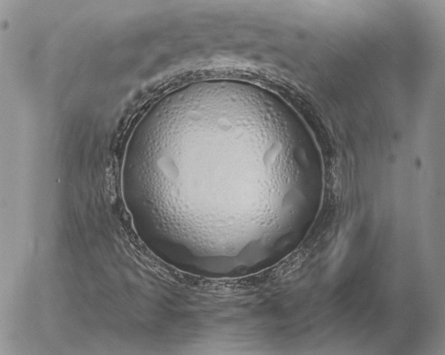 X0000056031493200509021808