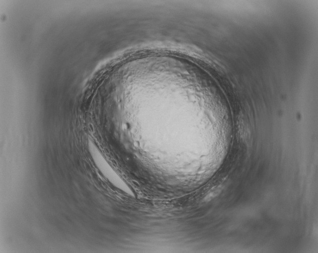 X0000056031494200509021808