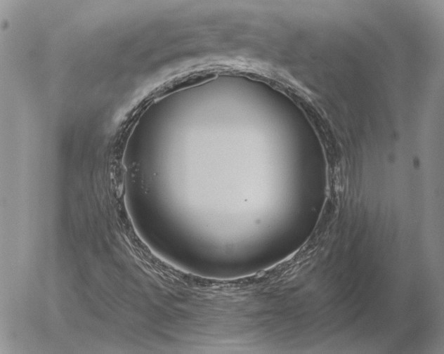 X0000056031496200509021808