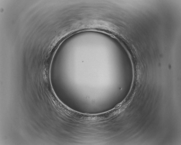 X0000056031497200509021808