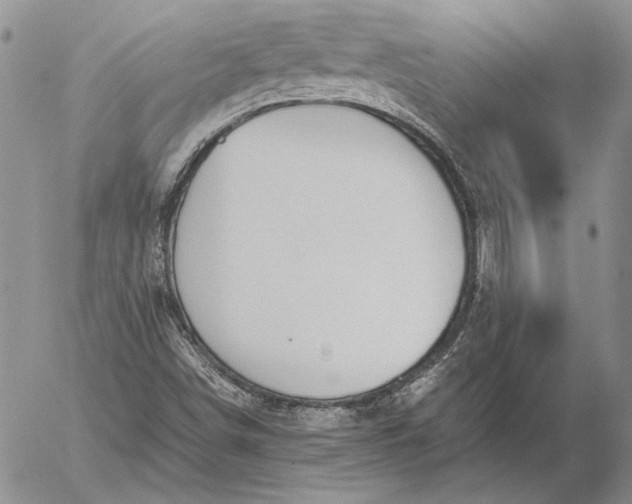 X0000056031498200509021808