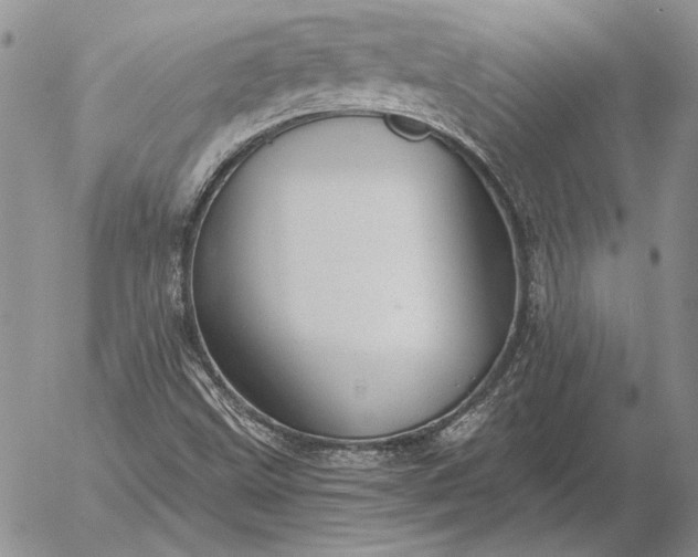 X0000056031499200509021808