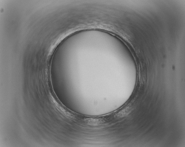 X0000056031500200509021808