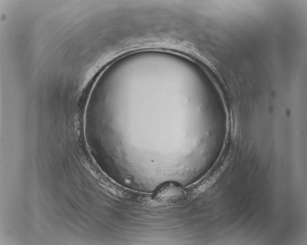 X0000056031501200509021808