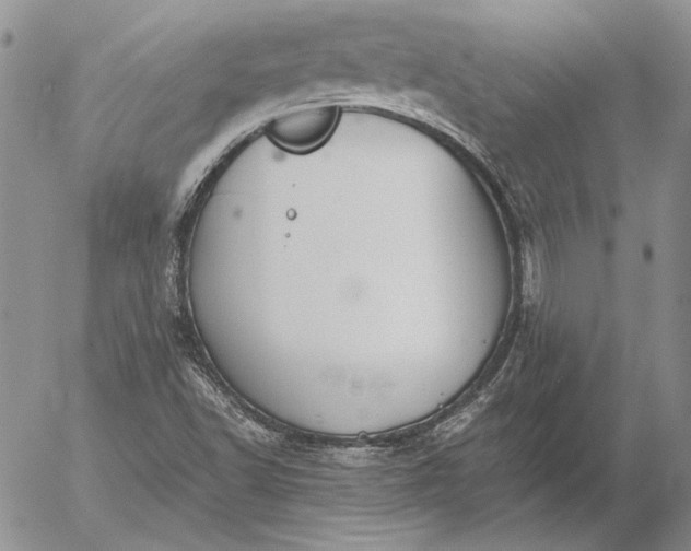 X0000056031502200509021808