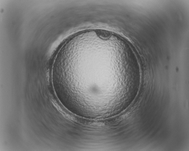 X0000056031503200509021808