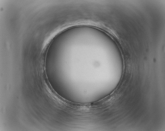 X0000056031504200509021808