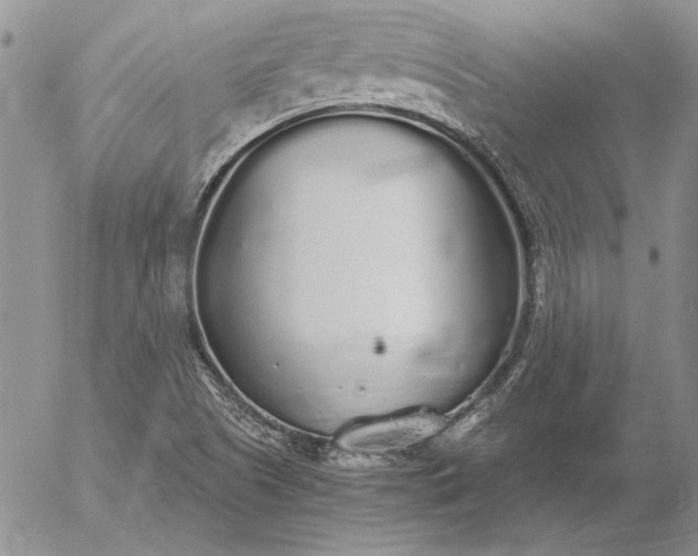 X0000056031505200509021808