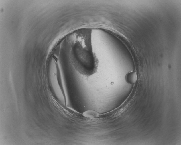 X0000056031506200509021808