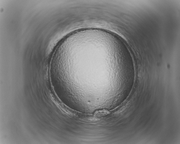 X0000056031507200509021808